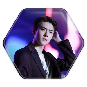 پیکسل شش ضلعی سهون گروه اکسو EXO
