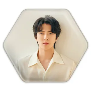 پیکسل شش ضلعی سهون گروه اکسو EXO