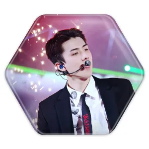پیکسل شش ضلعی سهون گروه اکسو EXO