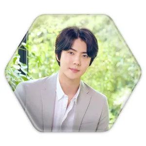 پیکسل شش ضلعی سهون گروه اکسو EXO
