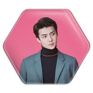 پیکسل شش ضلعی سهون گروه اکسو EXO
