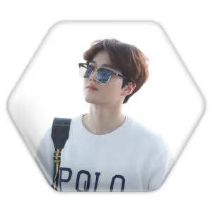 پیکسل شش ضلعی سوهو گروه اکسو EXO