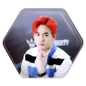 پیکسل شش ضلعی سوهو گروه اکسو EXO