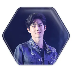 پیکسل شش ضلعی سوهو گروه اکسو EXO