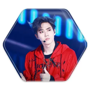 پیکسل شش ضلعی سوهو گروه اکسو EXO