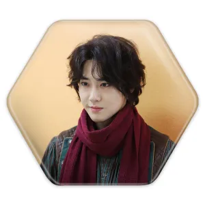 پیکسل شش ضلعی سوهو گروه اکسو EXO