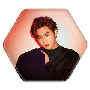 پیکسل شش ضلعی سوهو گروه اکسو EXO