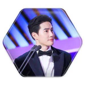 پیکسل شش ضلعی سوهو گروه اکسو EXO