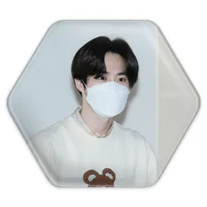 پیکسل شش ضلعی سوهو گروه اکسو EXO