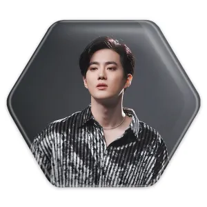 پیکسل شش ضلعی سوهو گروه اکسو EXO