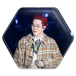 پیکسل شش ضلعی سوهو گروه اکسو EXO