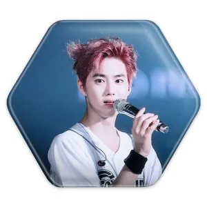 پیکسل شش ضلعی سوهو گروه اکسو EXO