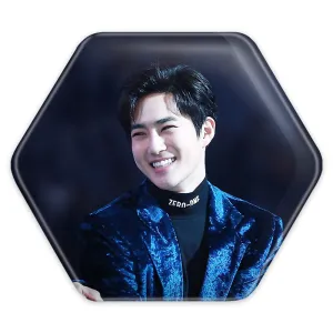 پیکسل شش ضلعی سوهو گروه اکسو EXO