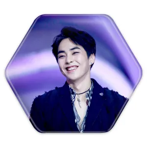 پیکسل شش ضلعی شیومین گروه اکسو EXO