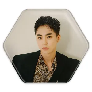 پیکسل شش ضلعی شیومین گروه اکسو EXO