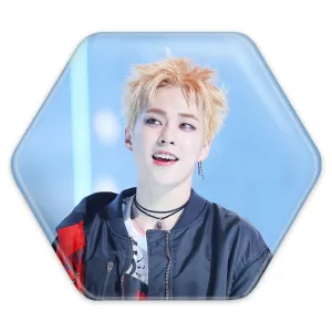 پیکسل شش ضلعی شیومین گروه اکسو EXO