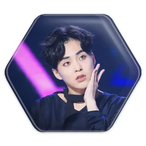 پیکسل شش ضلعی شیومین گروه اکسو EXO