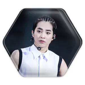 پیکسل شش ضلعی شیومین گروه اکسو EXO