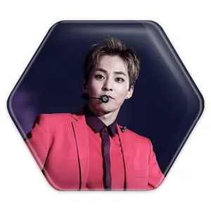پیکسل شش ضلعی شیومین گروه اکسو EXO
