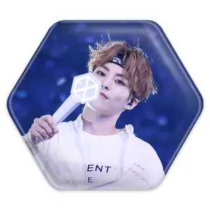 پیکسل شش ضلعی شیومین گروه اکسو EXO