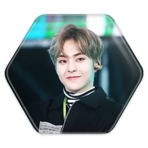 پیکسل شش ضلعی شیومین گروه اکسو EXO