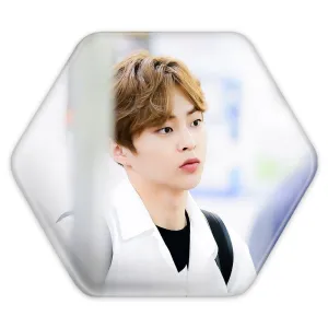 پیکسل شش ضلعی شیومین گروه اکسو EXO