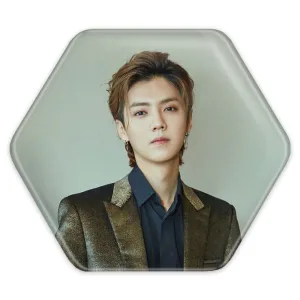 پیکسل شش ضلعی لوهان گروه اکسو EXO