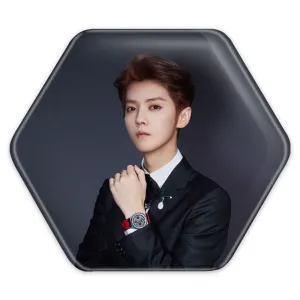 پیکسل شش ضلعی لوهان گروه اکسو EXO