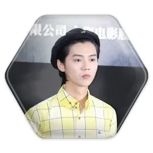 پیکسل شش ضلعی لوهان گروه اکسو EXO