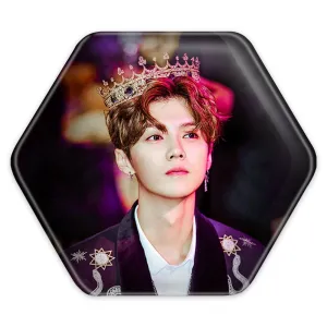 پیکسل شش ضلعی لوهان گروه اکسو EXO