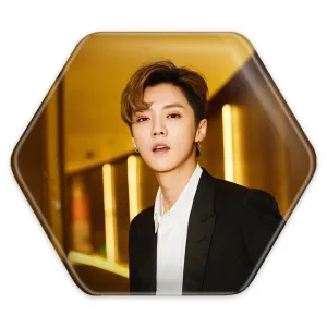 پیکسل شش ضلعی لوهان گروه اکسو EXO
