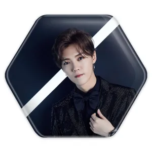 پیکسل شش ضلعی لوهان گروه اکسو EXO