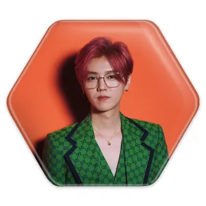 پیکسل شش ضلعی لوهان گروه اکسو EXO