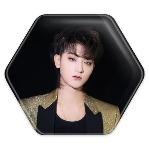 پیکسل شش ضلعی تائو گروه اکسو EXO