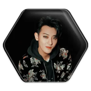 پیکسل شش ضلعی تائو گروه اکسو EXO