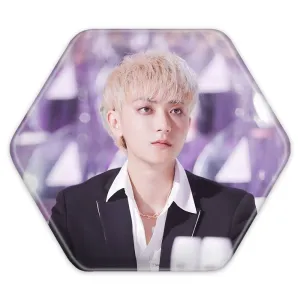 پیکسل شش ضلعی تائو گروه اکسو EXO