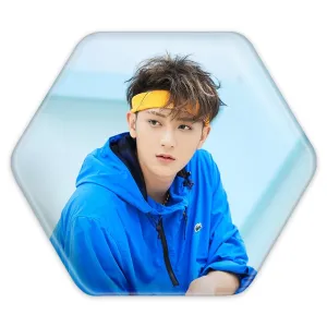 پیکسل شش ضلعی تائو گروه اکسو EXO