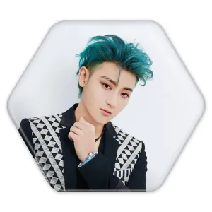 پیکسل شش ضلعی تائو گروه اکسو EXO