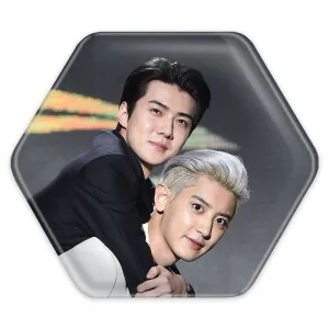 پیکسل شش ضلعی گروه اکسو EXO