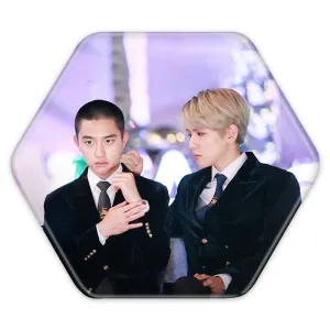 پیکسل شش ضلعی گروه اکسو EXO