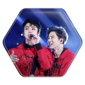پیکسل شش ضلعی گروه اکسو EXO