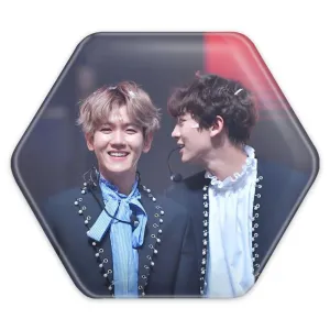 پیکسل شش ضلعی گروه اکسو EXO