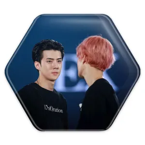 پیکسل شش ضلعی گروه اکسو EXO