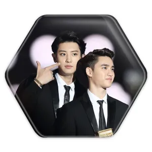 پیکسل شش ضلعی گروه اکسو EXO