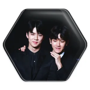 پیکسل شش ضلعی گروه اکسو EXO