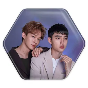 پیکسل شش ضلعی گروه اکسو EXO