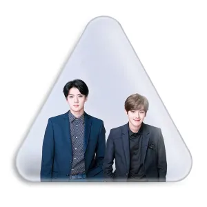 پیکسل مثلثی گروه اکسو EXO