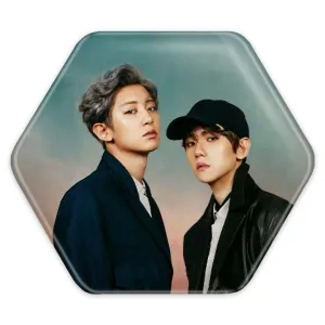 پیکسل شش ضلعی گروه اکسو EXO
