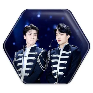 پیکسل شش ضلعی گروه اکسو EXO