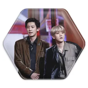پیکسل شش ضلعی گروه اکسو EXO